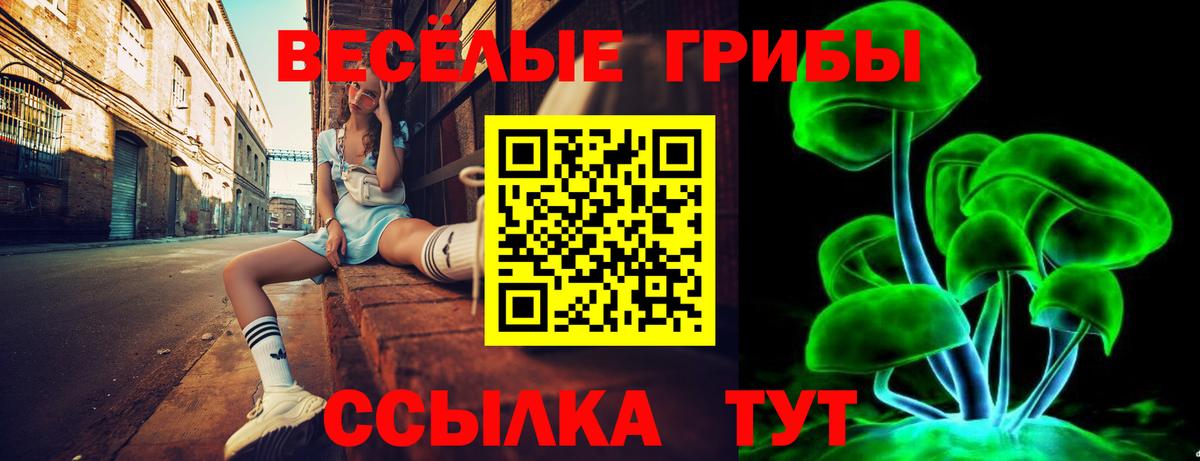 Галлюциногенные грибы GOLDEN TEACHER  Вход с VPN  Псилоцибиновые грибы Psilocybe  Чусовой 